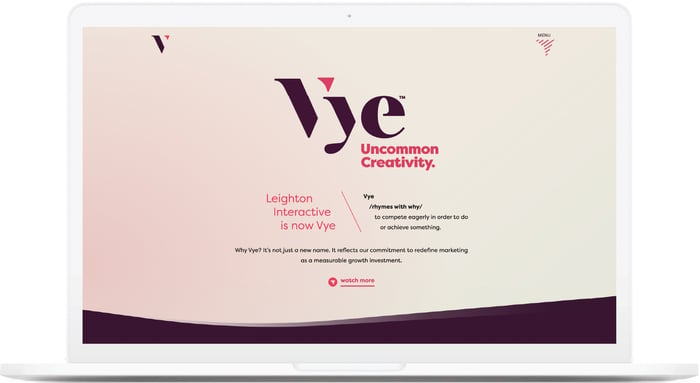 Vye-Website copy 2