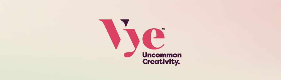 Leighton Interactive Repositions, Changes Name, To Vye