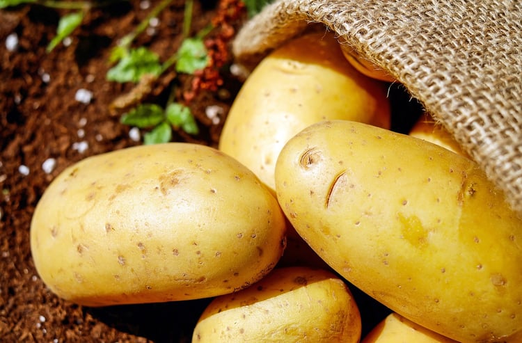 What the History of Potatoes Taught Me about Offers