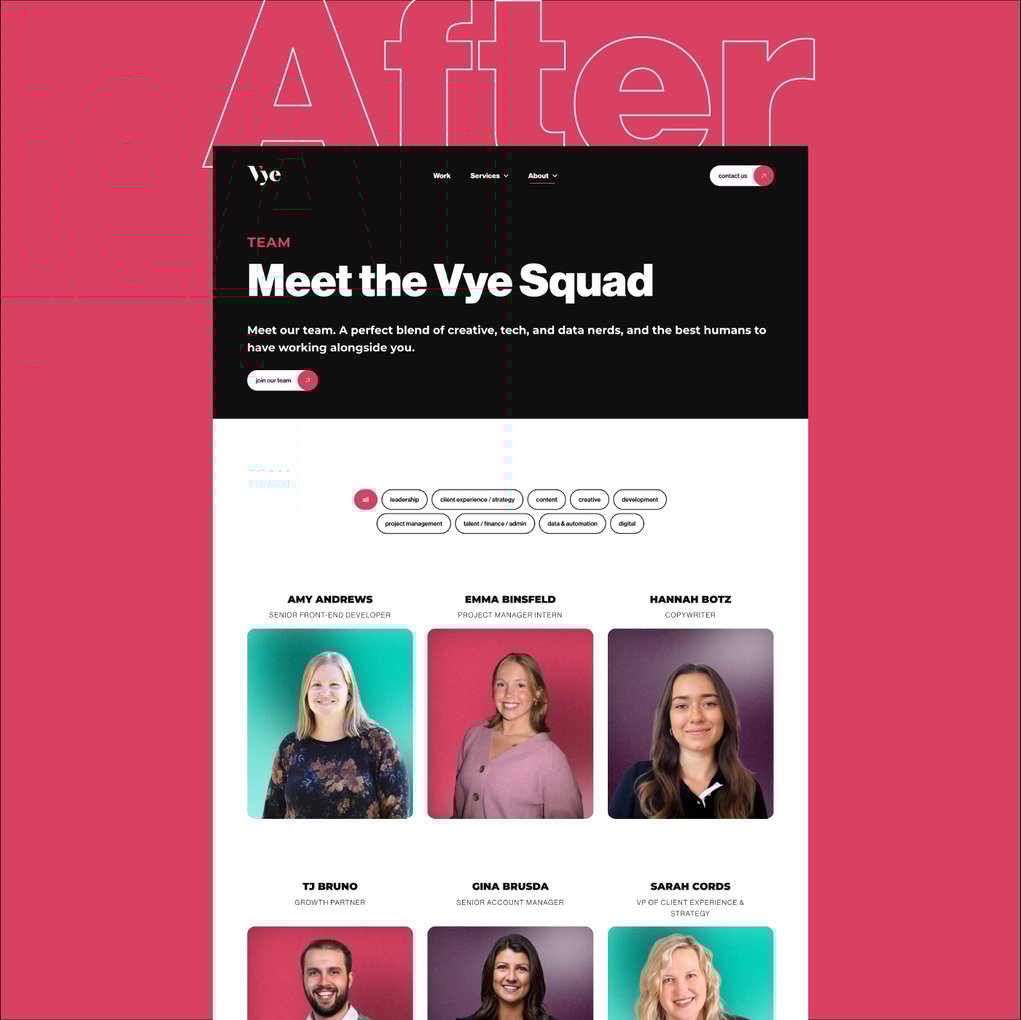 Vye new team page