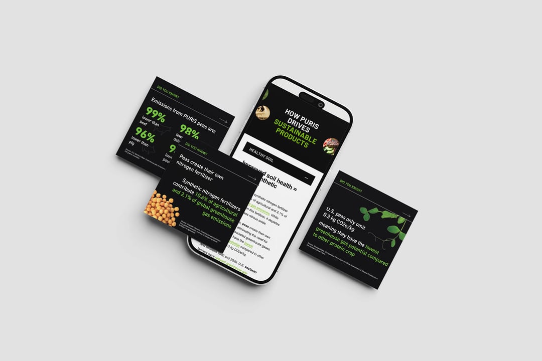 Puris website mockup