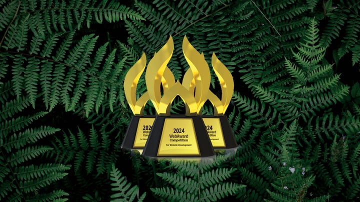 2024 Outstanding Website Developer WebAward
