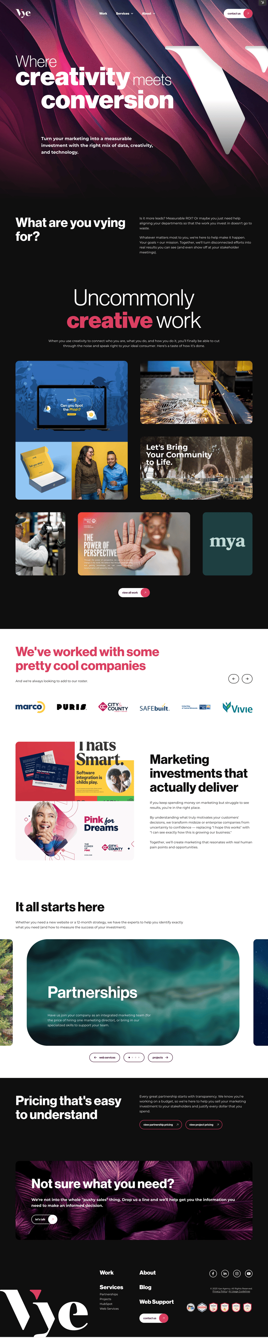 Vye new website home page