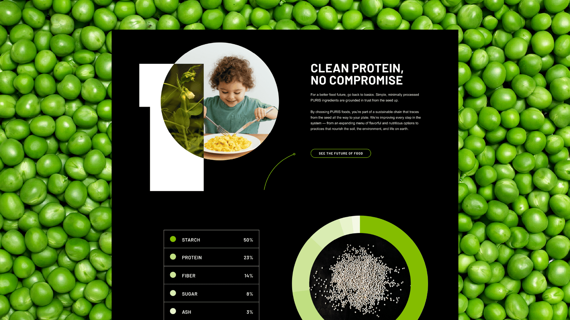 Puris website mockup