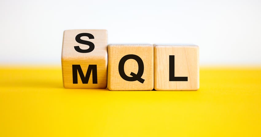 sales qualified lead (SQL) & marketing qualified lead (MQL)