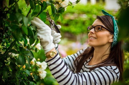 How to Repurpose Content Like a Badass Botanist