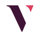 The Vye Team