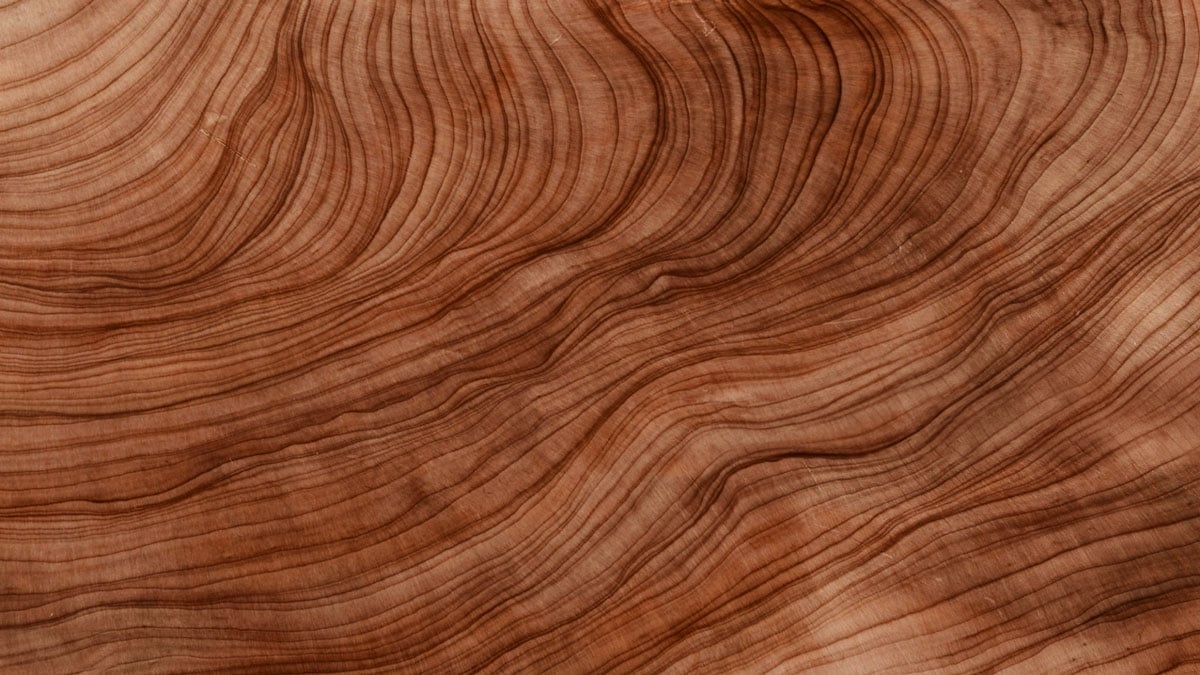 wood-topview_card