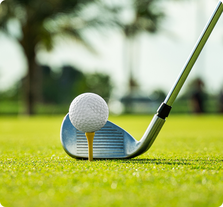 vye-golf